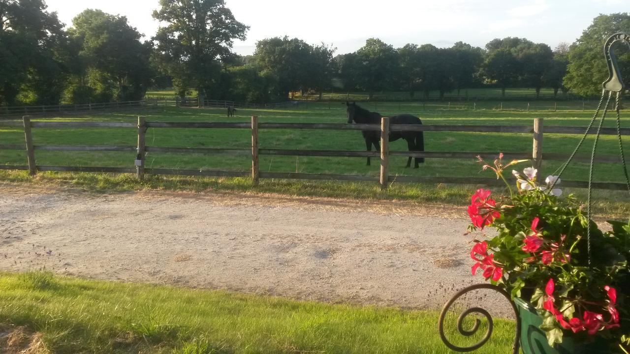 Les Gites Haras Del Paradiso Boitron 외부 사진