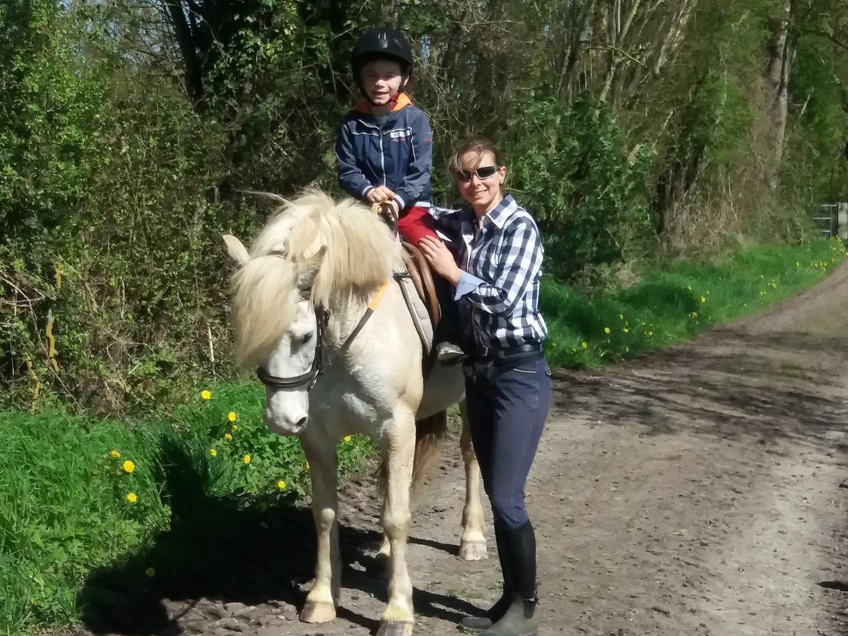 Les Gites Haras Del Paradiso Boitron 외부 사진