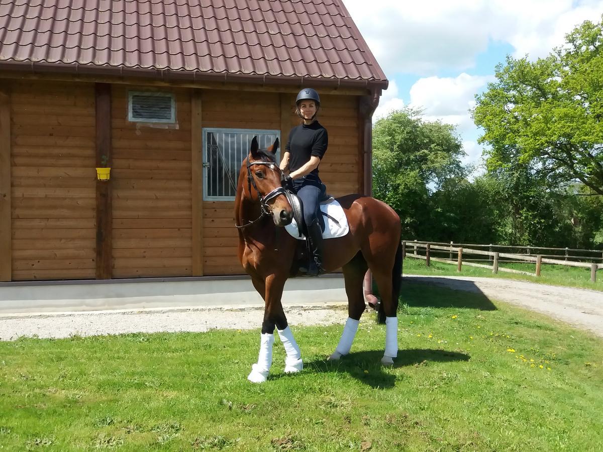 Les Gites Haras Del Paradiso Boitron 외부 사진